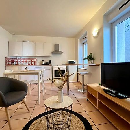 Le Studio Theolier Downtown - Close To Pedestrian Street 罗纳河畔的图尔农 外观 照片