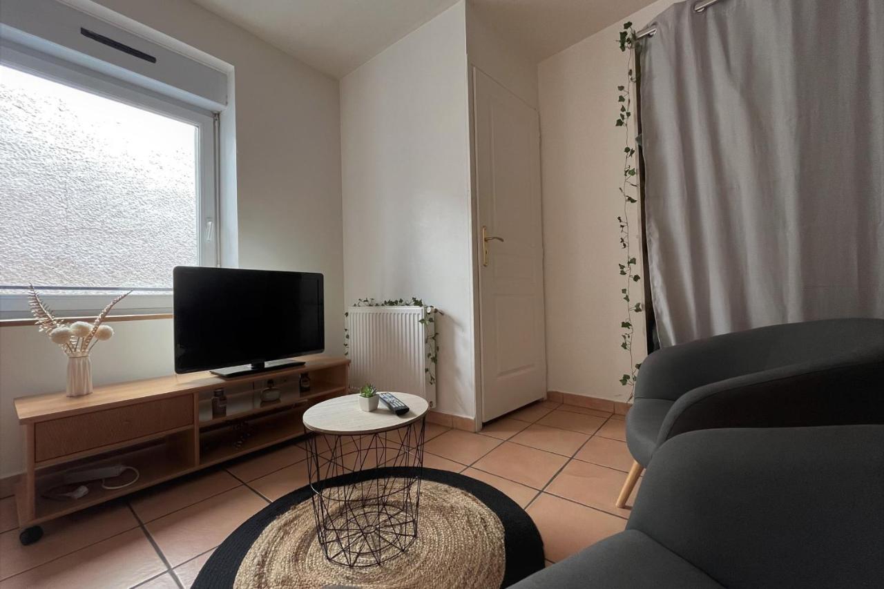 Le Studio Theolier Downtown - Close To Pedestrian Street 罗纳河畔的图尔农 外观 照片