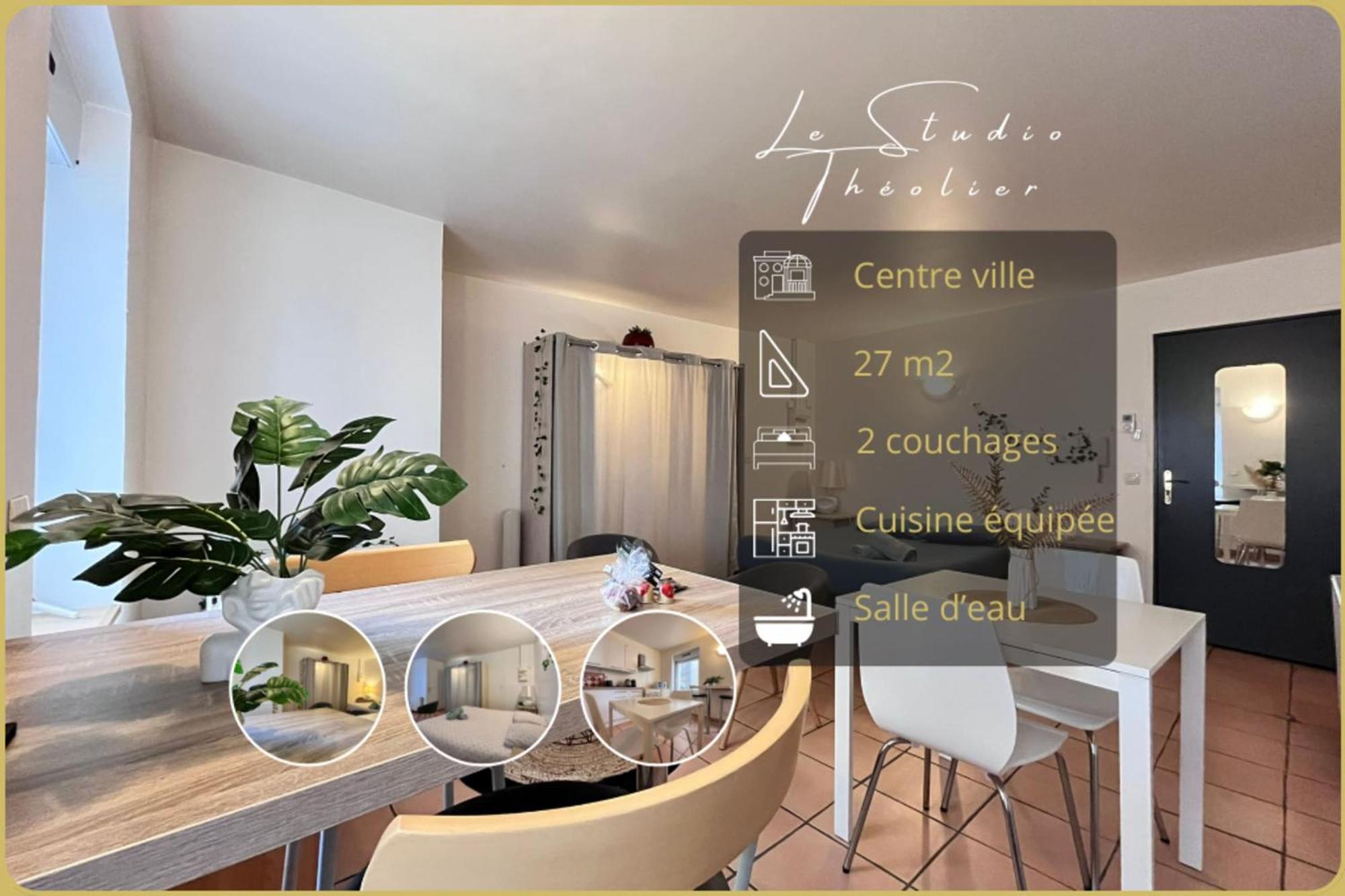 Le Studio Theolier Downtown - Close To Pedestrian Street 罗纳河畔的图尔农 外观 照片