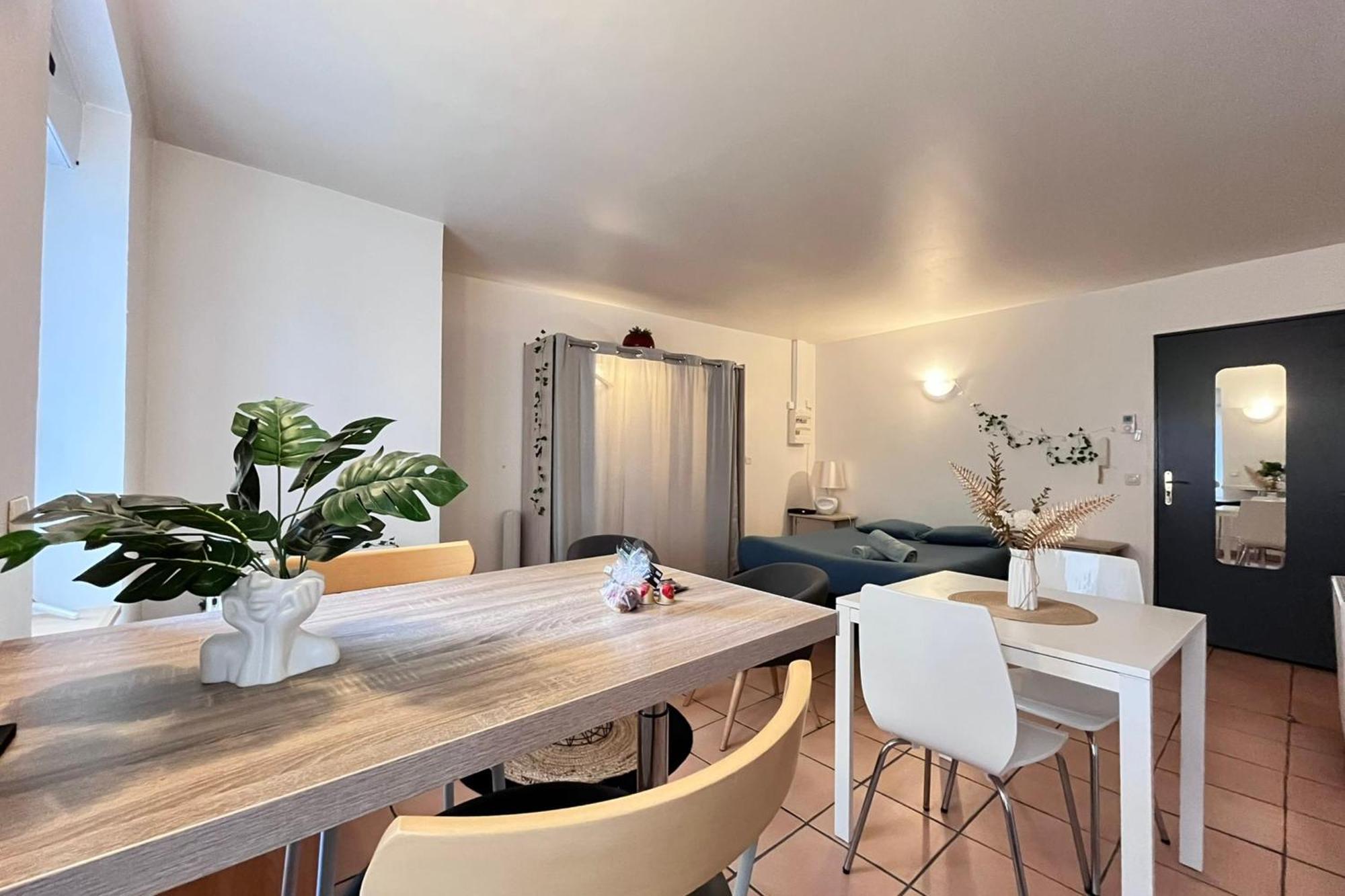 Le Studio Theolier Downtown - Close To Pedestrian Street 罗纳河畔的图尔农 外观 照片