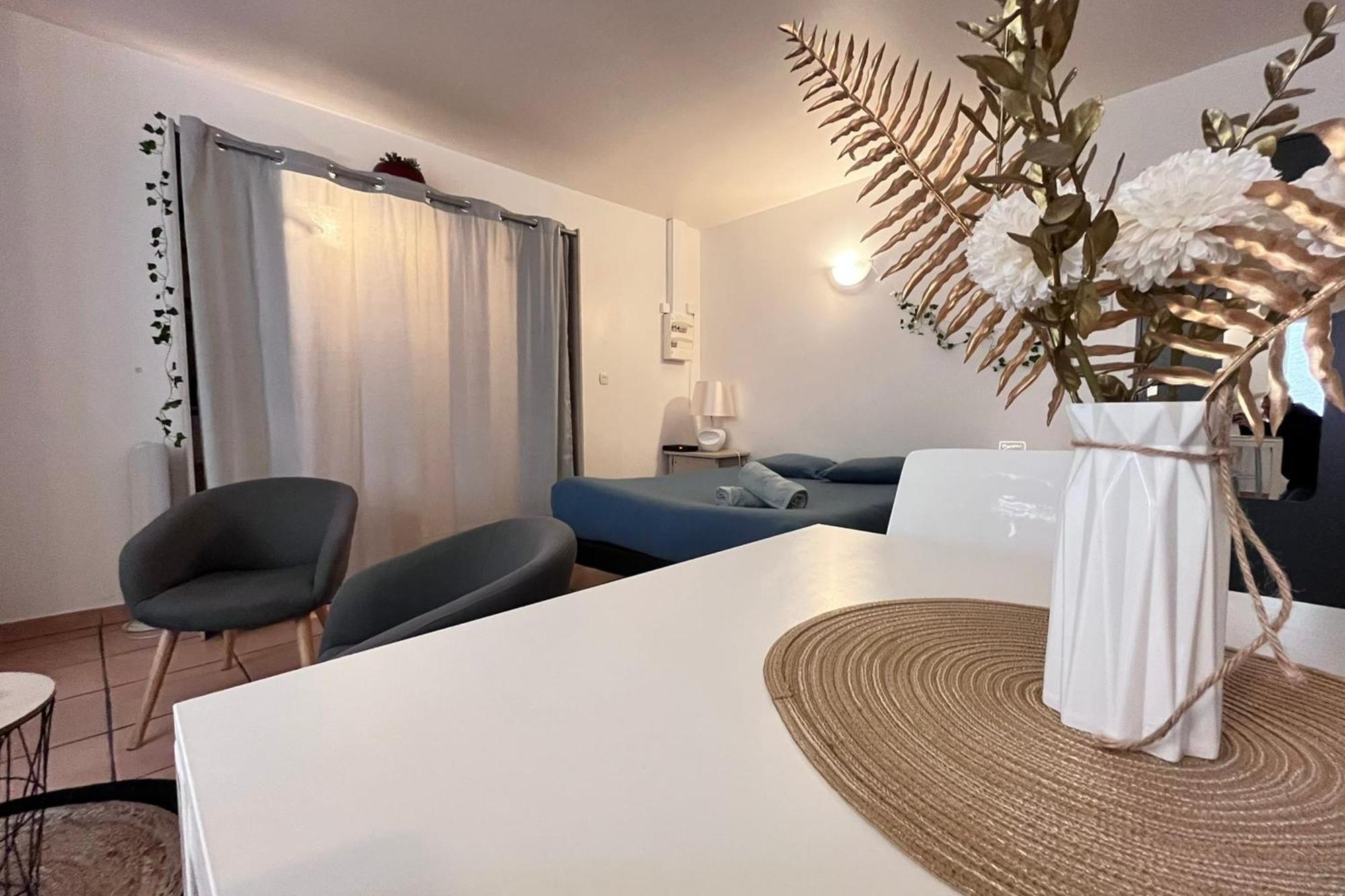 Le Studio Theolier Downtown - Close To Pedestrian Street 罗纳河畔的图尔农 外观 照片