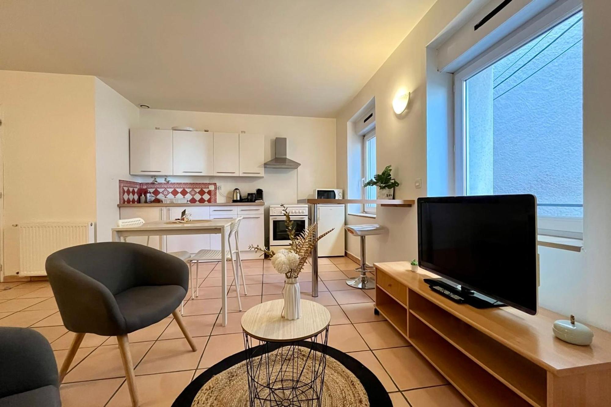Le Studio Theolier Downtown - Close To Pedestrian Street 罗纳河畔的图尔农 外观 照片