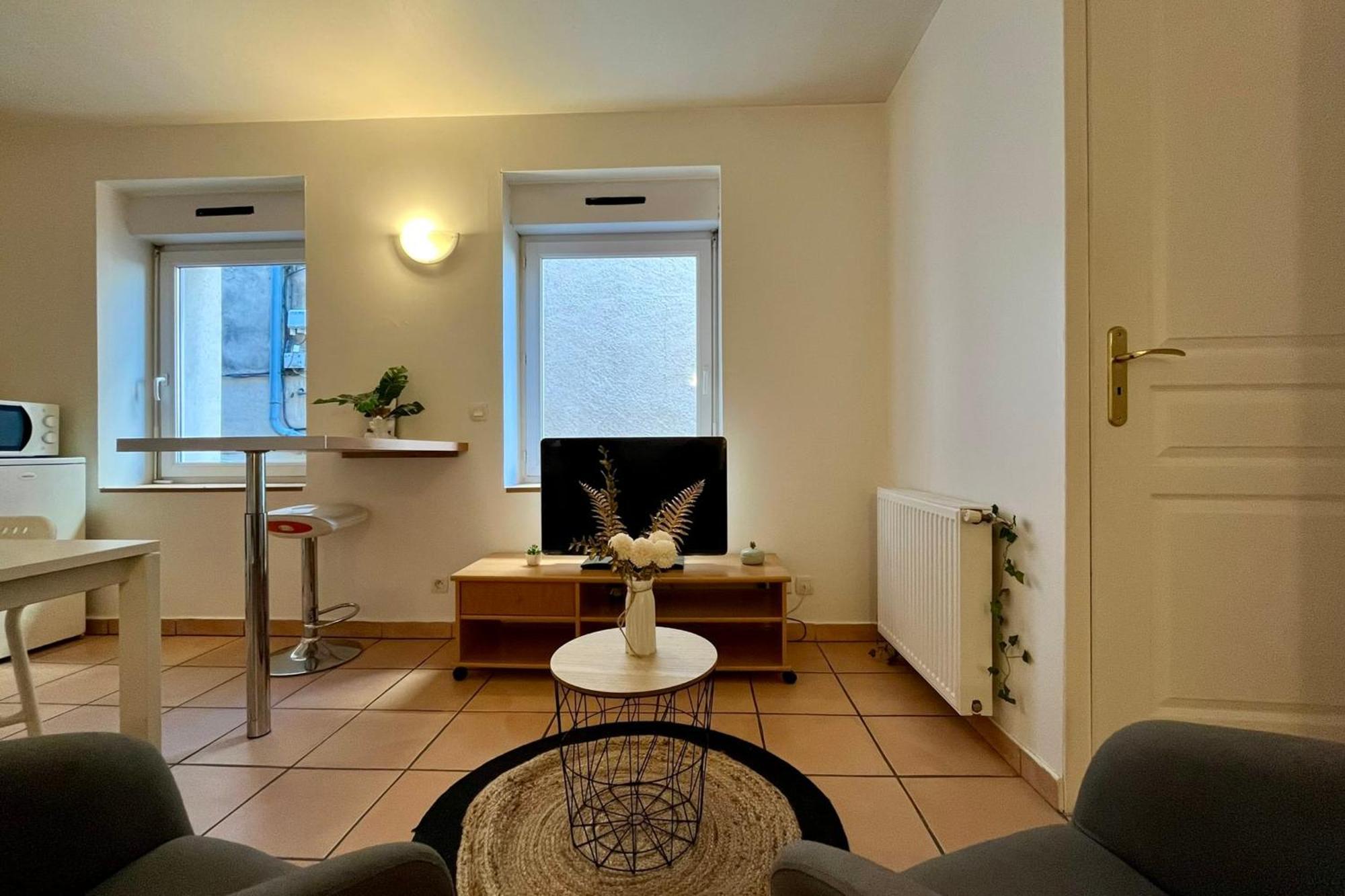 Le Studio Theolier Downtown - Close To Pedestrian Street 罗纳河畔的图尔农 外观 照片