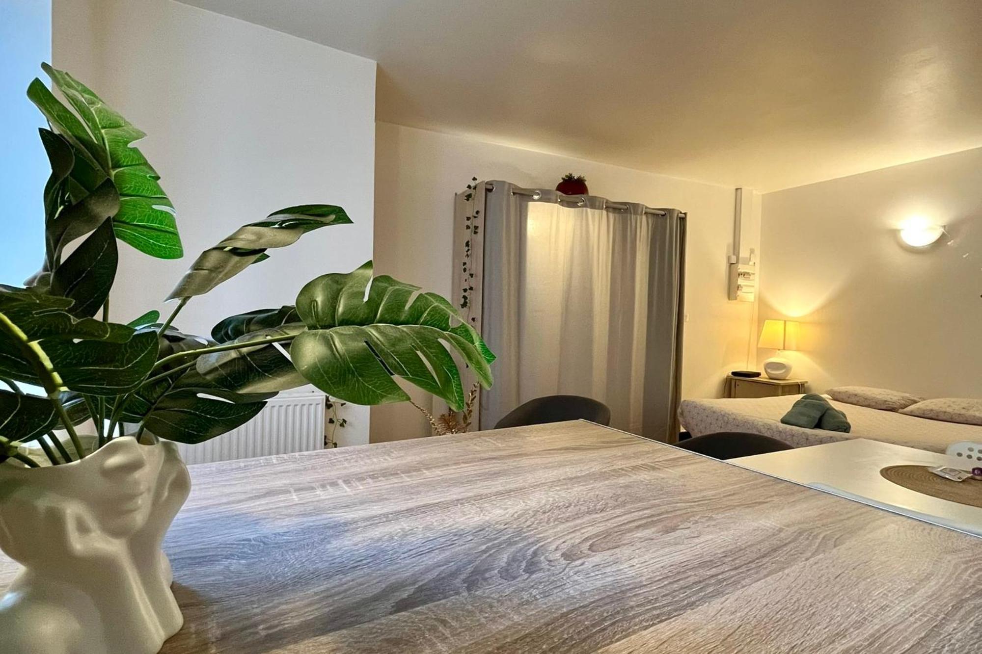 Le Studio Theolier Downtown - Close To Pedestrian Street 罗纳河畔的图尔农 外观 照片