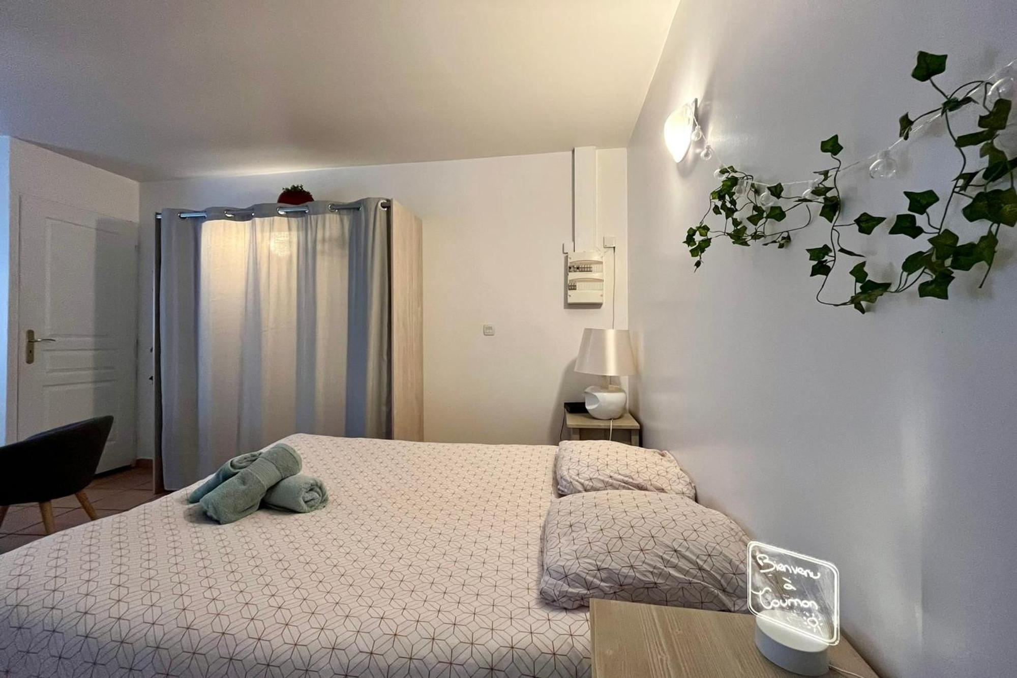 Le Studio Theolier Downtown - Close To Pedestrian Street 罗纳河畔的图尔农 外观 照片